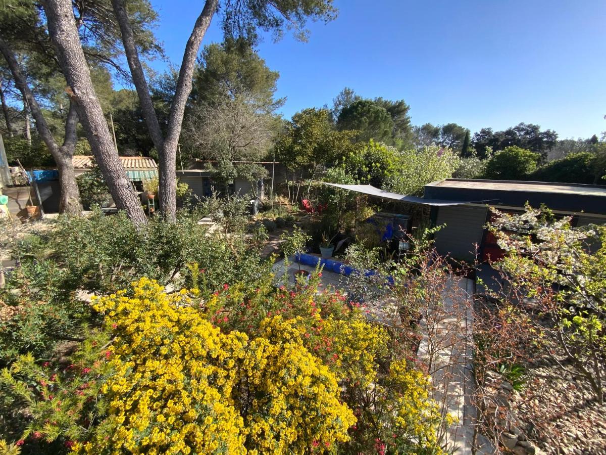 Inn 4 Bears Nîmes Dış mekan fotoğraf