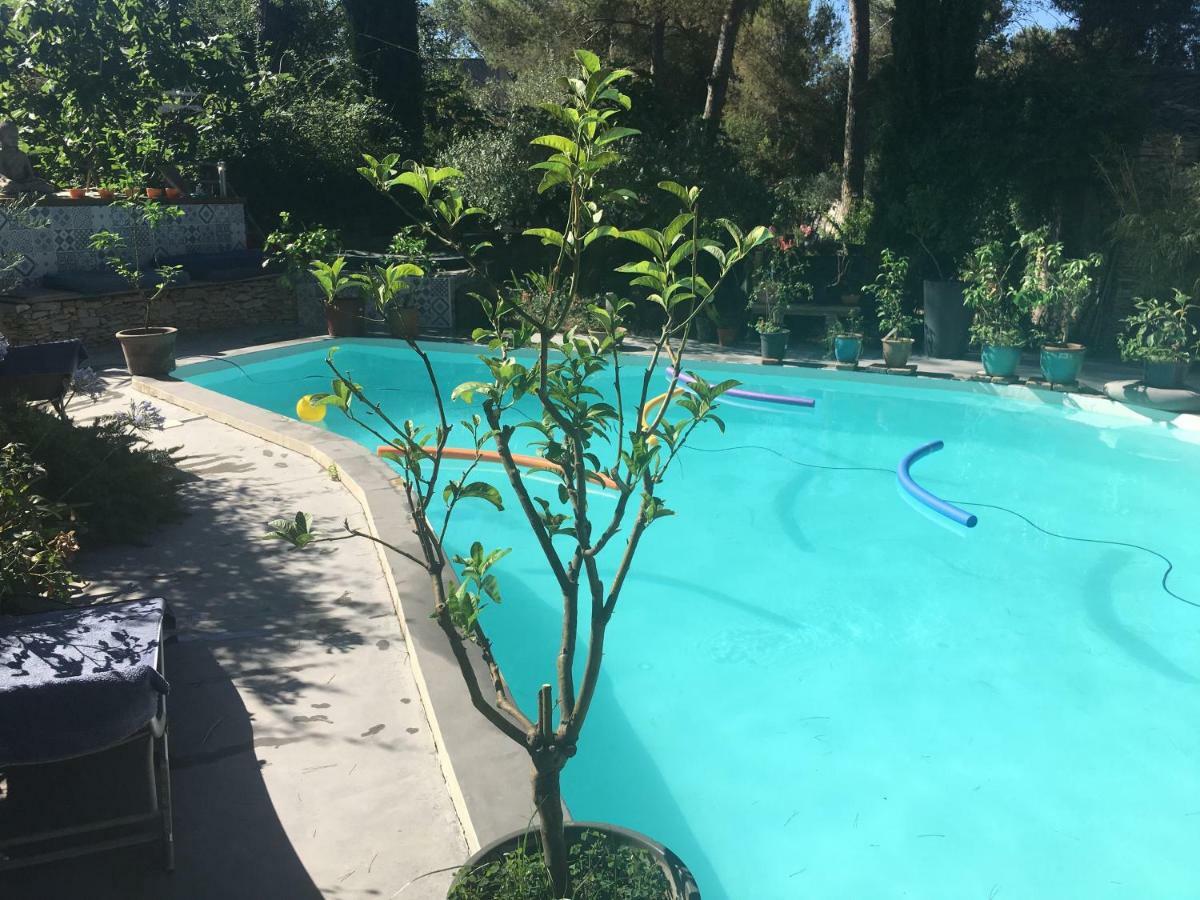 Inn 4 Bears Nîmes Dış mekan fotoğraf